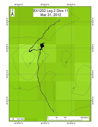Dive Track
