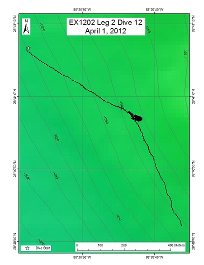 Dive Track