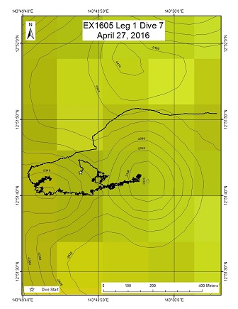 Dive Track