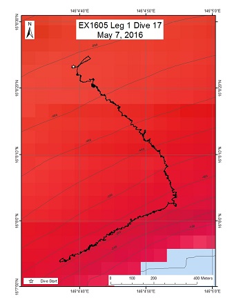 Dive Track