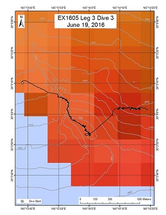 Dive Track