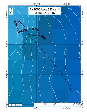 Dive Track