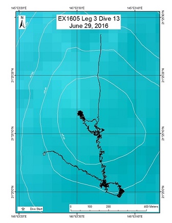 Dive Track