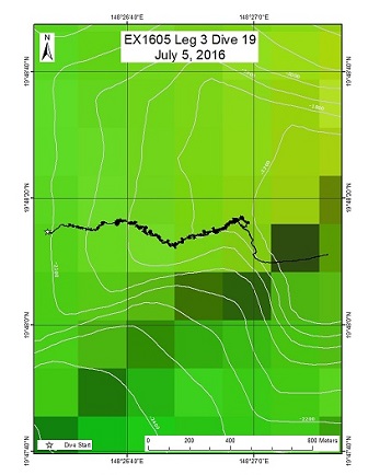 Dive Track