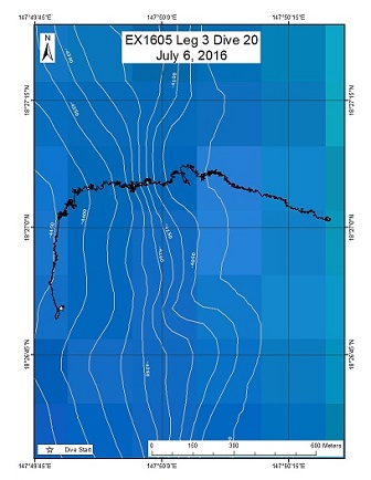 Dive Track