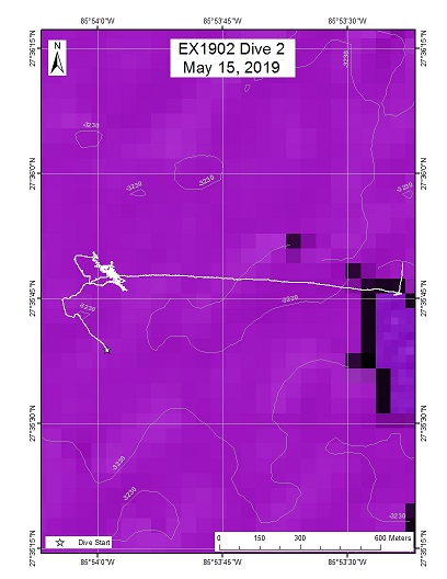 Dive Track