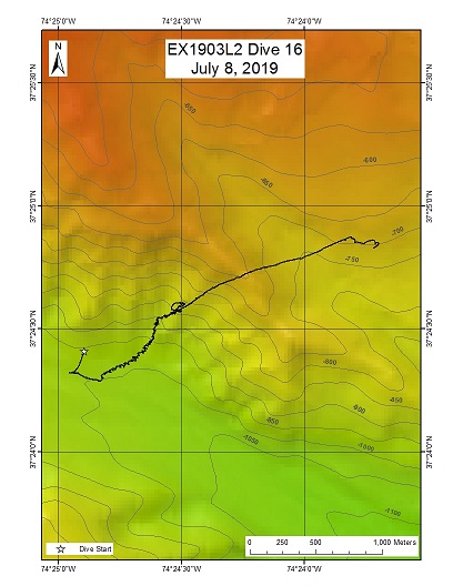Dive Track