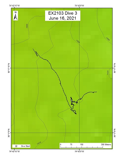 Dive Track