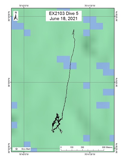 Dive Track