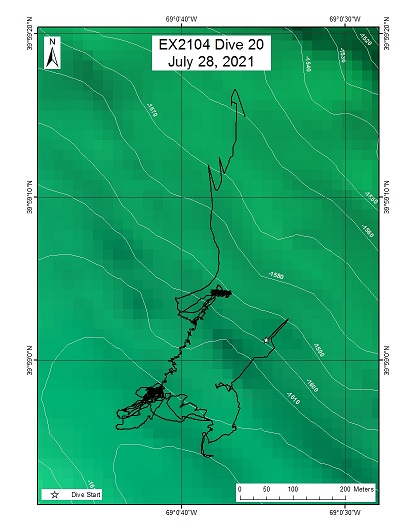 Dive Track