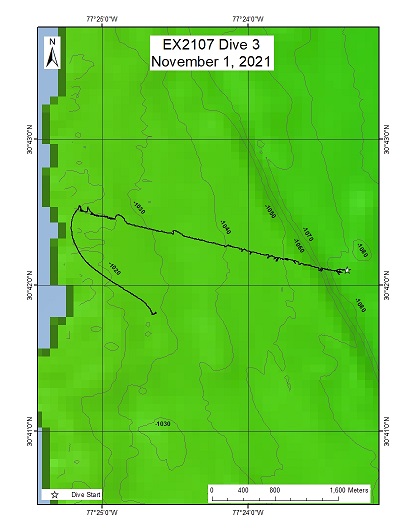 Dive Track